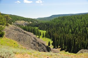 Haney Meadow