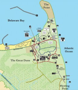 img-4