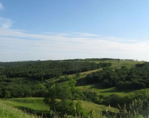 img-5