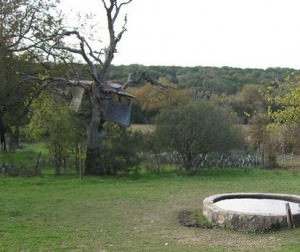 img-1