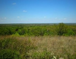 img-1