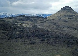 img-2