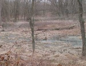 img-2