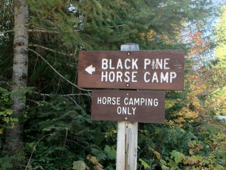 Black Pine Horse Camp - TrailMeister