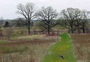 img-4