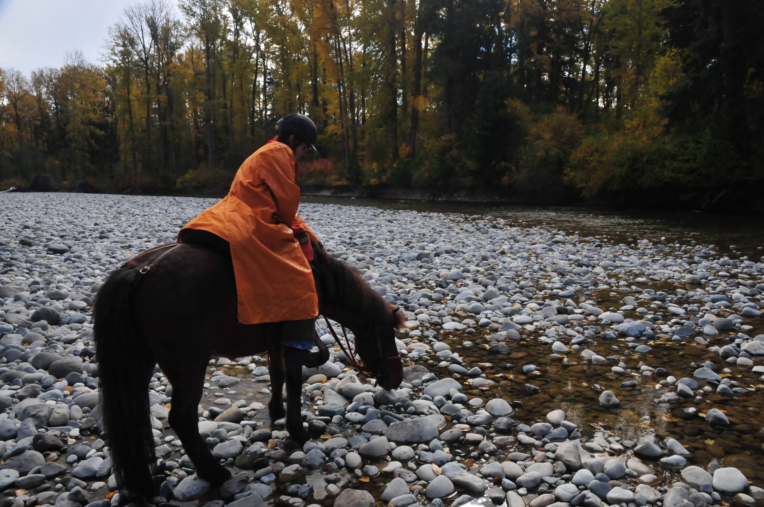 Wyoming traders sales rain slicker