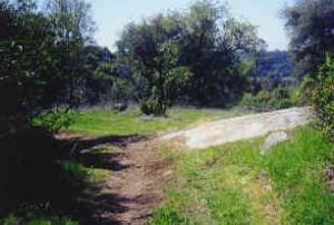 img-1