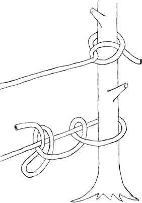 2 half hitch knotes 2 half hitch knotes