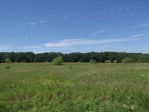 img-4