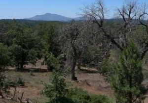 img-3