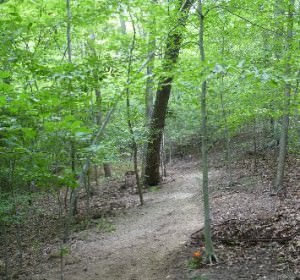 img-1