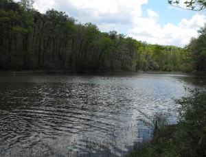 img-6