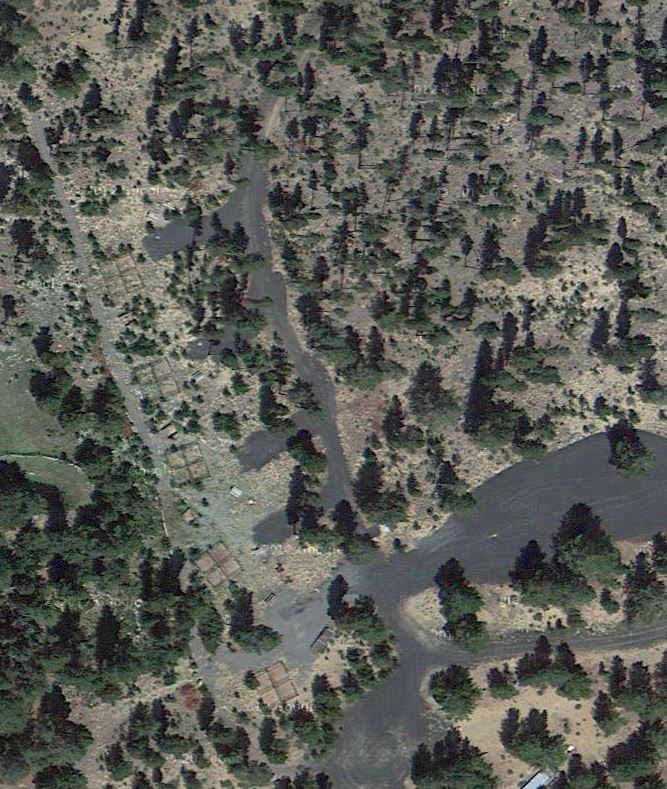 Swamp wells horse camp hotsell