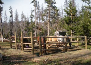 img-3