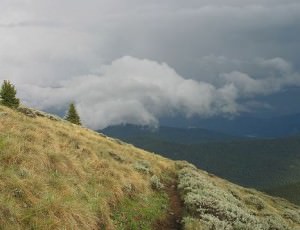 img-2