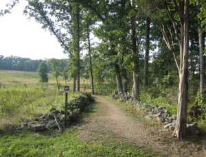 img-1