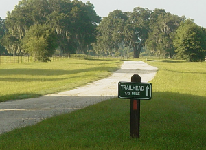 img-2