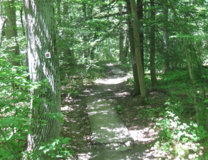 img-3