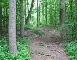 img-2