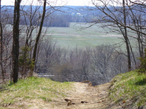 img-3