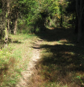 img-2