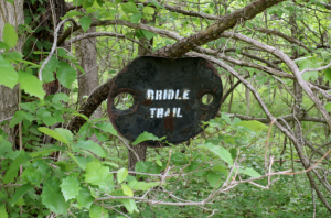 img-3