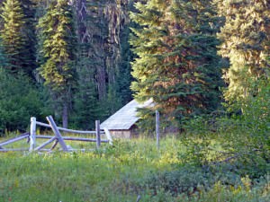 img-1