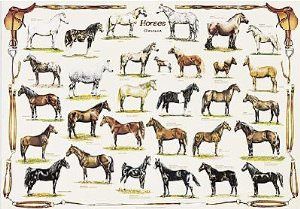 breeds