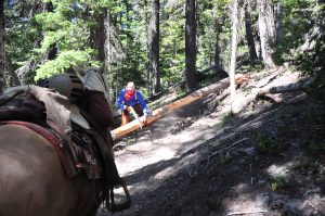 trail rider obstacles