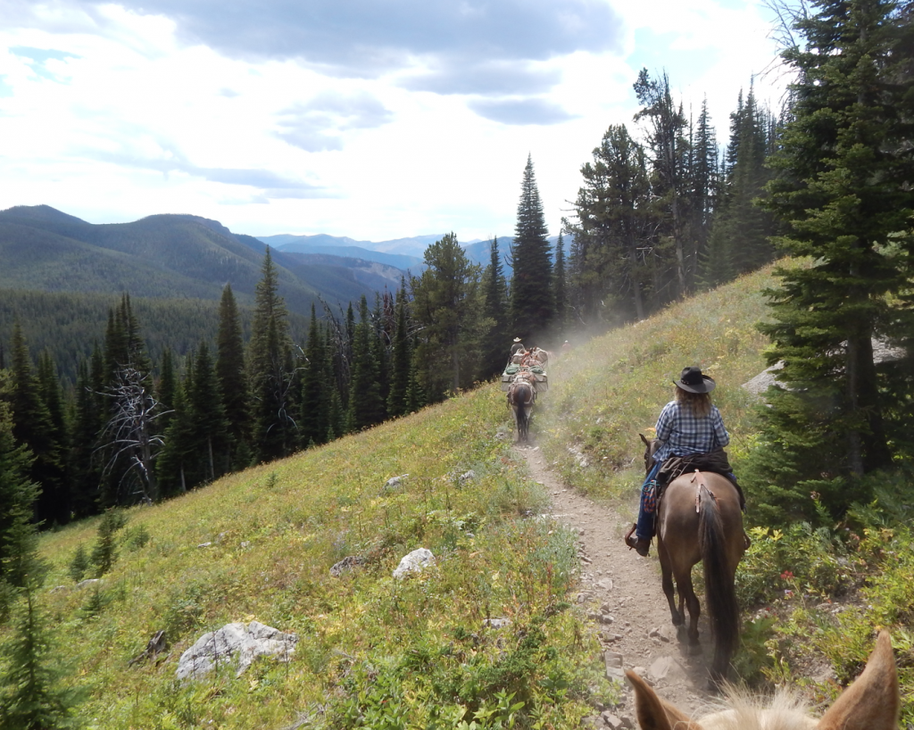 Packing into Montana’s Bob Marshall Wilderness TrailMeister