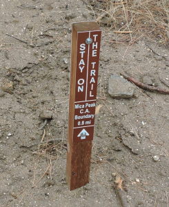 img-4