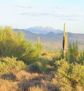 img-7