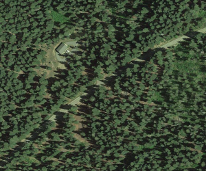 img-1