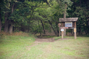img-2