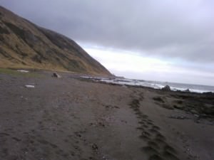 img-8