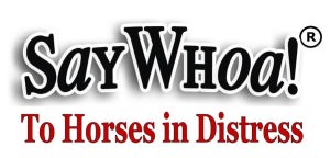 SayWhoa-horse-distress-logo-2