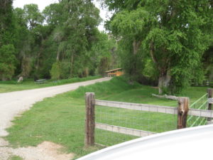 img-18
