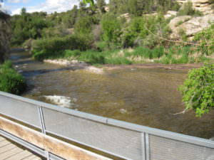 img-19