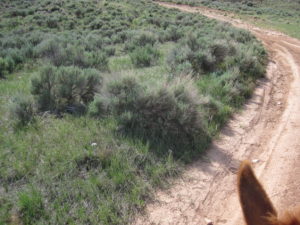 img-22