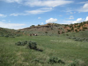 img-23