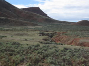img-10