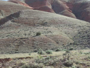 img-11