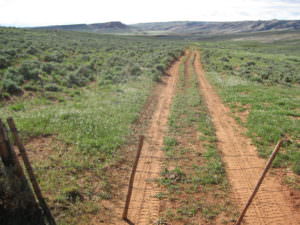 img-12