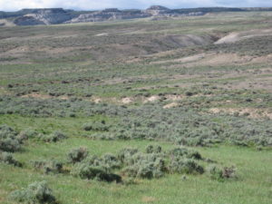 img-13