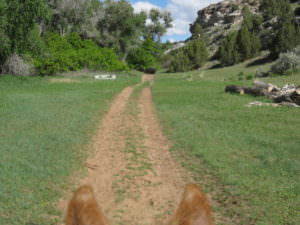 img-30