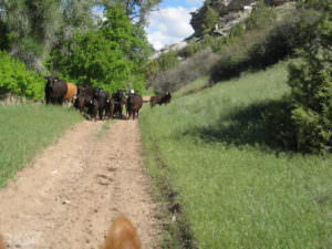 img-31