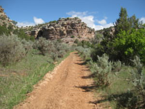 img-32