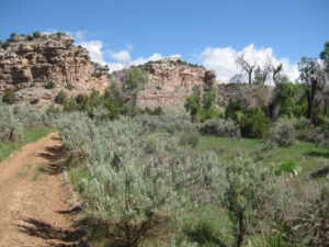 img-33