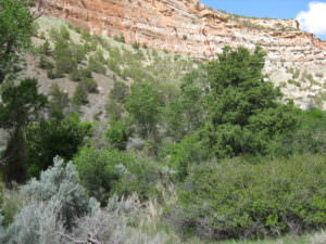 img-34