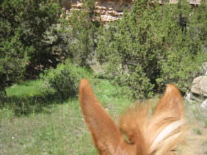 img-35